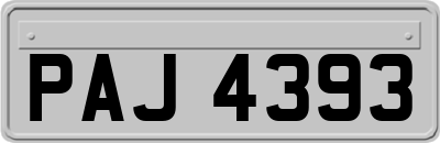 PAJ4393