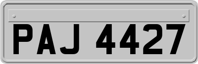 PAJ4427