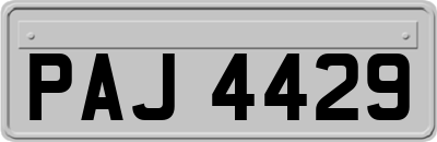 PAJ4429