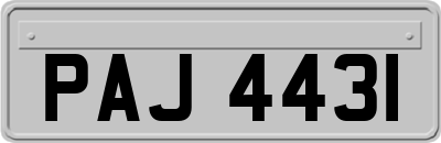 PAJ4431