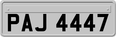 PAJ4447