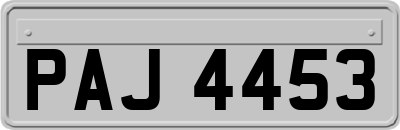 PAJ4453