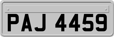 PAJ4459