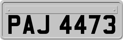 PAJ4473