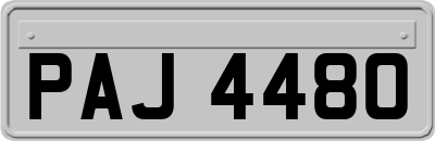 PAJ4480