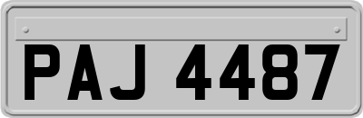 PAJ4487