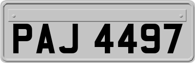 PAJ4497