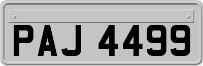 PAJ4499