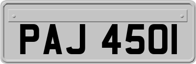 PAJ4501