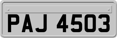 PAJ4503