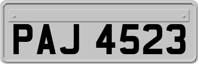 PAJ4523