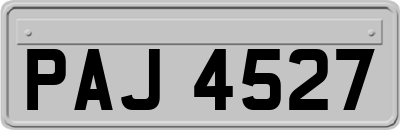 PAJ4527