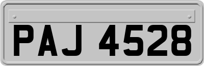 PAJ4528