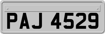 PAJ4529
