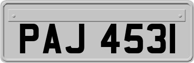 PAJ4531
