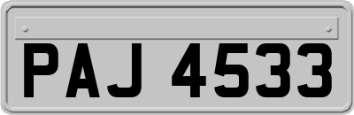 PAJ4533
