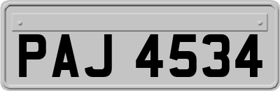 PAJ4534