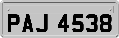 PAJ4538
