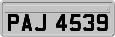 PAJ4539