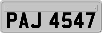 PAJ4547