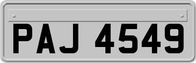 PAJ4549