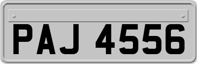 PAJ4556