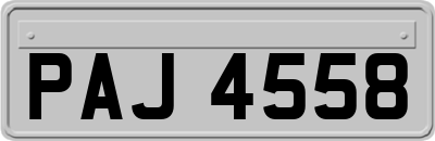 PAJ4558