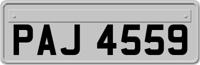 PAJ4559