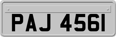PAJ4561