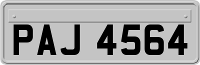 PAJ4564