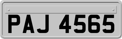 PAJ4565