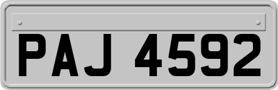 PAJ4592