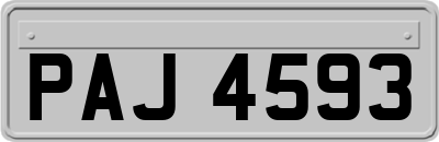 PAJ4593