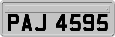 PAJ4595