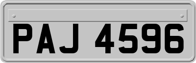 PAJ4596
