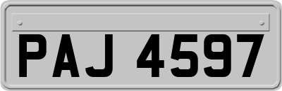PAJ4597