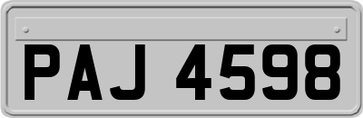 PAJ4598