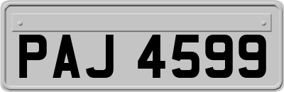 PAJ4599