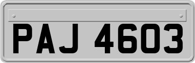 PAJ4603