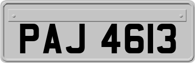 PAJ4613