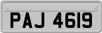 PAJ4619