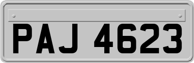 PAJ4623