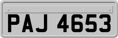 PAJ4653