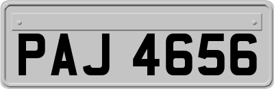 PAJ4656