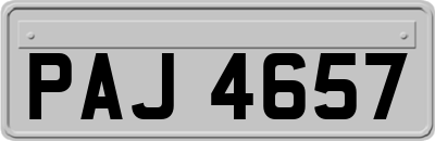 PAJ4657