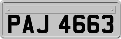 PAJ4663