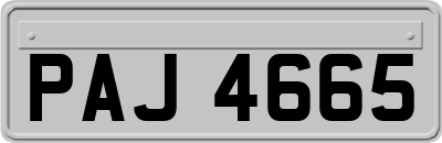 PAJ4665