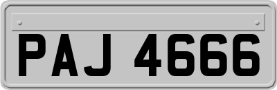 PAJ4666