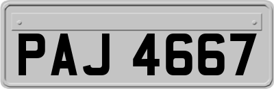 PAJ4667