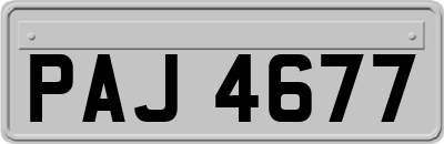 PAJ4677